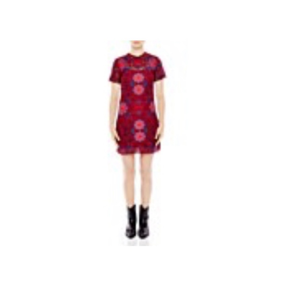 Sandro Red and Pink Floral Mini Dress